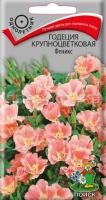 Годеция крупноцветковая Феникс Годеция крупноцветковая Феникс
