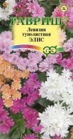 Левизия туполистная Элис 5 шт Левизия туполистная Элис 5 шт