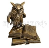сова на книгах сова на книгах