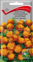 Бархатцы отклоненные махровые Петит гармония Бархатцы отклоненные махровые Петит гармония