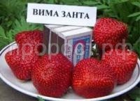 Без названия Без названия