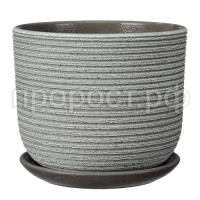 Лоза зелено-серый бук