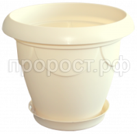 верона 20л пес