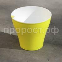 Афина-лимон-600x600 Афина-лимон-600x600