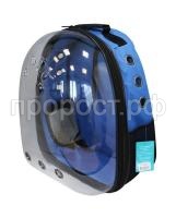 imgonline-com-ua-Resize-Kvd2l2aO3i imgonline-com-ua-Resize-Kvd2l2aO3i