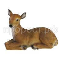 олениха 116 олениха 116