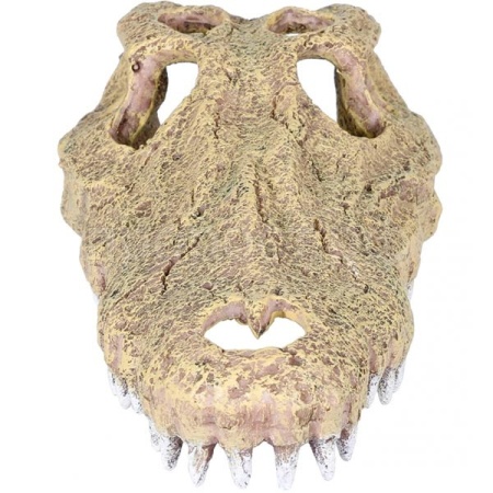 Грот AQUA DELLA Череп Аллигатора бежевый 28.5x14.5x8см (Бельгия) 234/443484 Грот AQUA DELLA Череп Аллигатора бежевый 28.5x14.5x8см (Бельгия) 234/443484