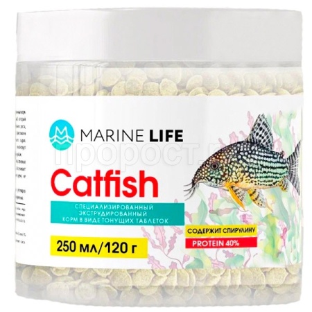 Рыбы ведро Catftsh 250мл /120гр Рыбы ведро Catftsh 250мл /120гр