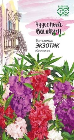 Бальзамин Экзотик карлик 0,1г 