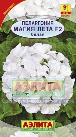 Пеларгония Магия лета белая F2 5шт 