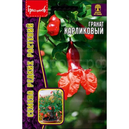 Редкие растения Гранат Карликовый 5шт 