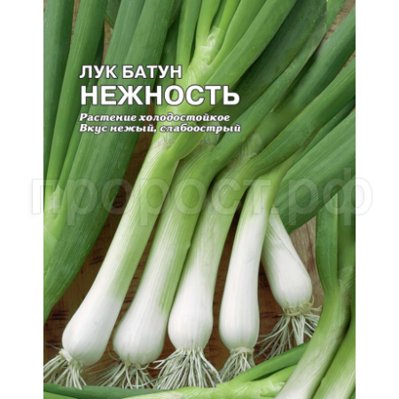 Лук батун Нежность 5г 