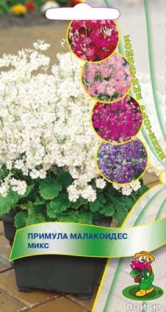 Примула малакоидес Микс 0,01г