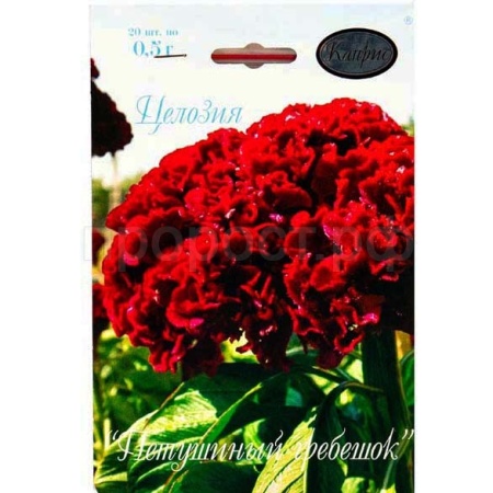 Целозия Петушиный гребешок 20*1 