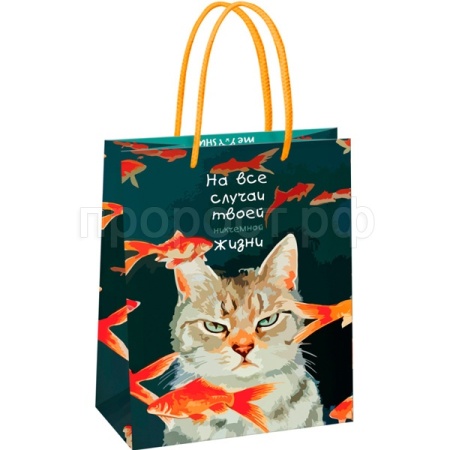 Пакет подарочный 18*23*10см "Moody cat" глянц. ламинация MESHU/Рельеф Пакет подарочный 18*23*10см "Moody cat" глянц. ламинация MESHU/Рельеф