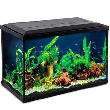 Аквариум Breeze 75,7л 612*230*431мм черный/Laguna/73534031 Аквариум Breeze 75,7л 612*230*431мм черный/Laguna/73534031