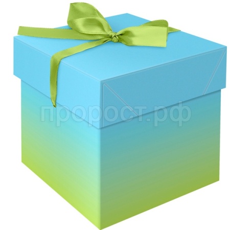 Коробка складная подарочная "Duotone. Blue-Green gradient" (15*15*15см) с лентой MESHU /Рельеф Коробка складная подарочная "Duotone. Blue-Green gradient" (15*15*15см) с лентой MESHU /Рельеф