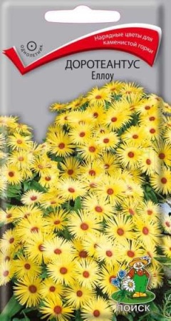 Доротеантус Еллоу 0,1г 