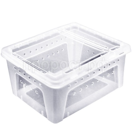 Отсадник пластиковый Big 32*22*15см/NMP-H005