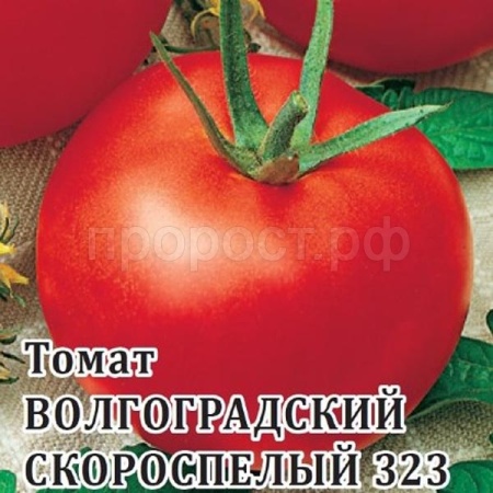 Томат Волгоградский скороспелый 323 5 г