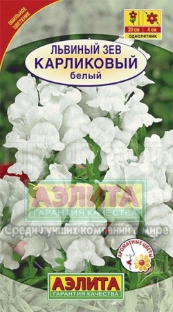 Львиный зев карликовый белый 10шт