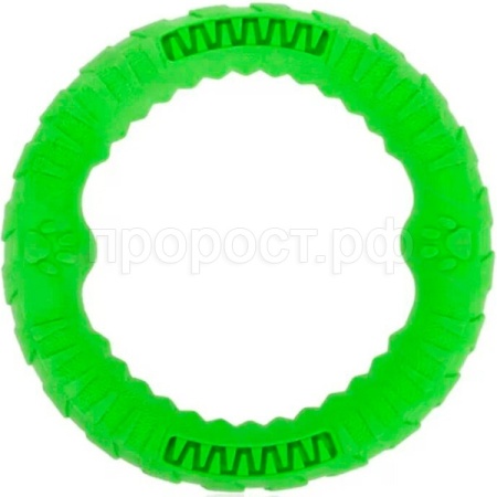 Игрушка с Кольцо L 25х4см ИС-49 зеленый