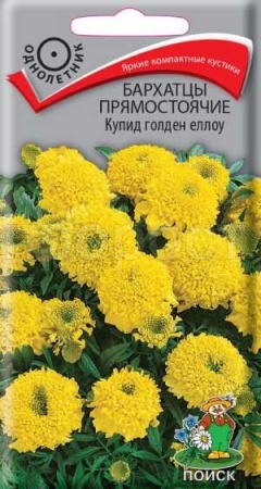 Бархатцы Купид голден еллоу 0,2г