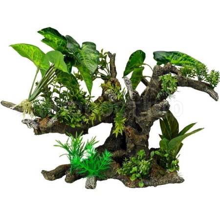 Растение AQUA DELLA Florascape 10 41x23.5x31см (Бельгия) 234/432143 Растение AQUA DELLA Florascape 10 41x23.5x31см (Бельгия) 234/432143