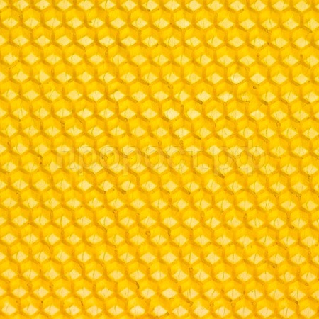 Пчелы Вощина 5 кг 22см*43см/ЧК