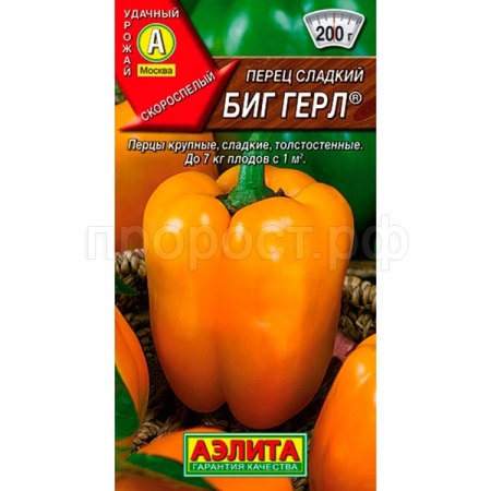 Аэлита Перец Биг Герл 20шт