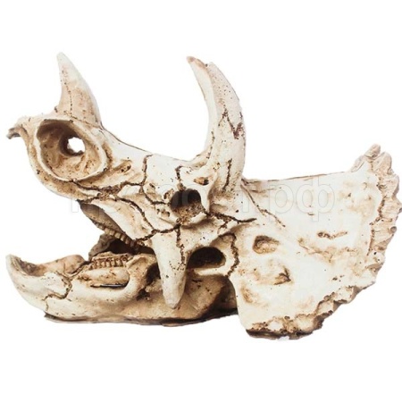 Грот Череп трицератопса Nomoy Pet 16х8х11см M/NMP-NS-114 Грот Череп трицератопса Nomoy Pet 16х8х11см M/NMP-NS-114