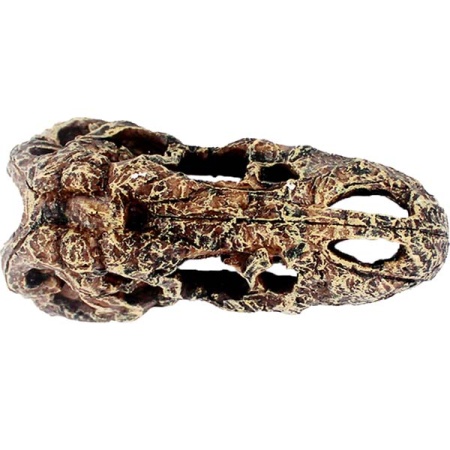 Грот Череп тираннозавра Nomoy Pet 14х7х6см/NMP-NS-111 Грот Череп тираннозавра Nomoy Pet 14х7х6см/NMP-NS-111