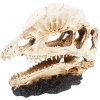 Грот Череп дилофозавра Nomoy Pet 17х7.5х14см/NMP-NS-117 Грот Череп дилофозавра Nomoy Pet 17х7.5х14см/NMP-NS-117