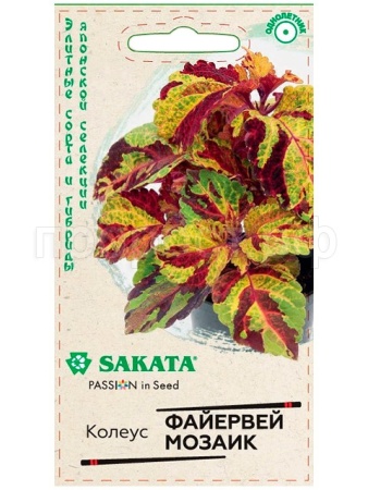Колеус Файервей Мозаик 5шт