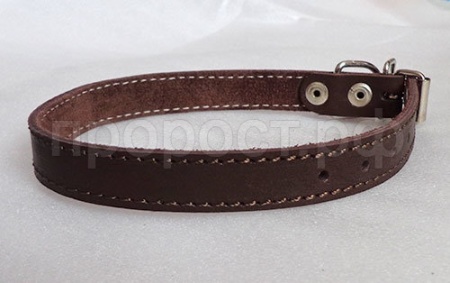 Ошейник кожа 20мм 1слойный безразмерный 40-45см/40588 Ошейник кожа 20мм 1слойный безразмерный 40-45см/40588