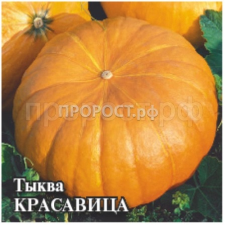 Тыква крупноплодная Красавица 25 г