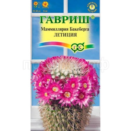 Маммиллярия Бакеберга (Кактус) Летиция 2шт
