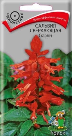 Сальвия сверкающая Скарлет 0,3г