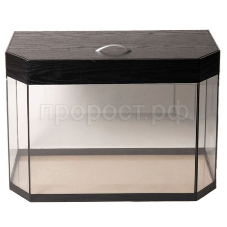 Аквариум Панорама с крышкой 135л (78,5*30*51см) Аквариум Панорама с крышкой 135л (78,5*30*51см)