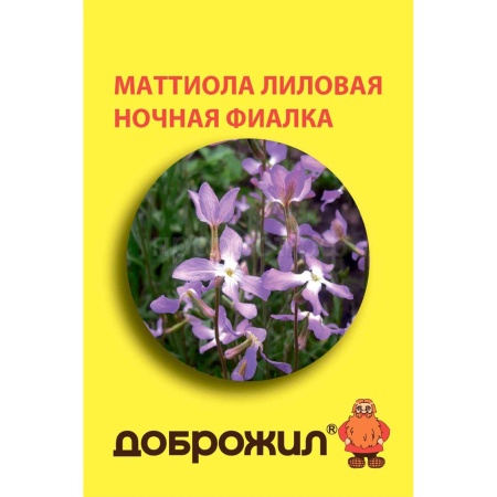 Маттиола Лиловая 0,5г