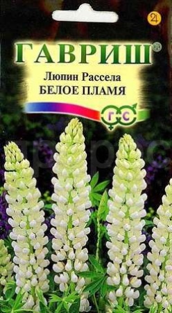 Люпин Рассела Белое пламя 0,5г