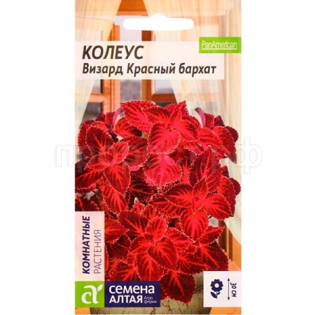 Колеус Визард Красный бархат 5шт