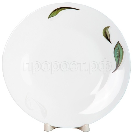 Тарелка мелкая 250мл Oasis Парадиз 197-21001 /36шт/PSF