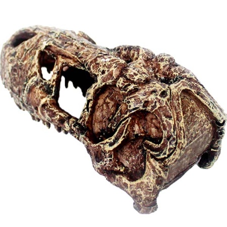 Грот Череп тираннозавра Nomoy Pet 14х7х6см/NMP-NS-111 Грот Череп тираннозавра Nomoy Pet 14х7х6см/NMP-NS-111