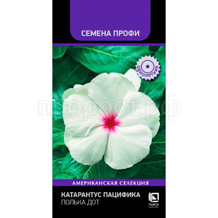 Катарантус Пацифика Полька Дот 10шт