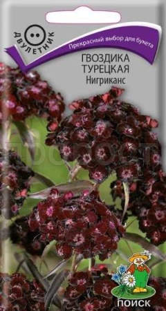 Гвоздика Турецкая Нигриканс 0,3г