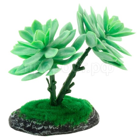 Растение Граптоверия REP15010 150мм Laguna/84045030/ Растение Граптоверия REP15010 150мм Laguna/84045030/