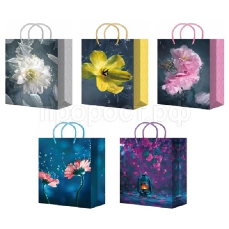 ПБР55729 Пакет подарочный 22*31 микс ламинированный /20шт/ ПБР55729 Пакет подарочный 22*31 микс ламинированный /20шт/