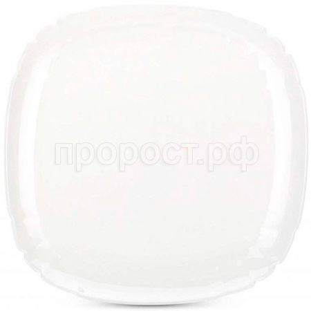 Тарелка обеденная "ЛОТУСИЯ" 25см /N3621/LUMINARC