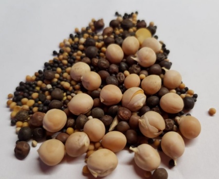 Семена трав сидератов для теплиц 3 кг. З.У.